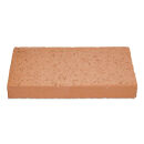 Plaque en argile réfractaire 300 x 150 x 40 mm