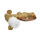 Orkli Kit dEau Chaude Solaire