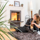 Kamineinsatz Schmid Lina 55